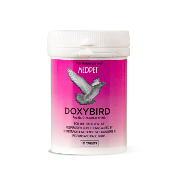 Doxybird 100 tabs for pigeons and soft bill birds