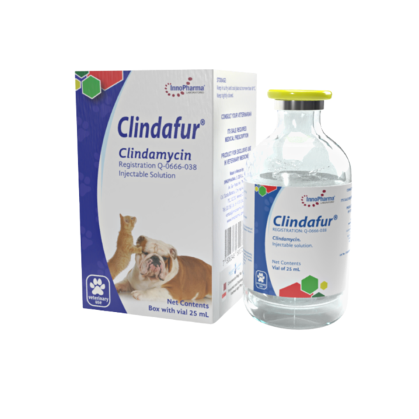 Clindafur® Clindamycin 100mg/ml Injectable solution 25ml