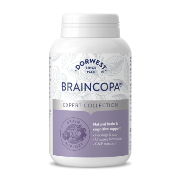 Dorwest BrainCopa® Tablets