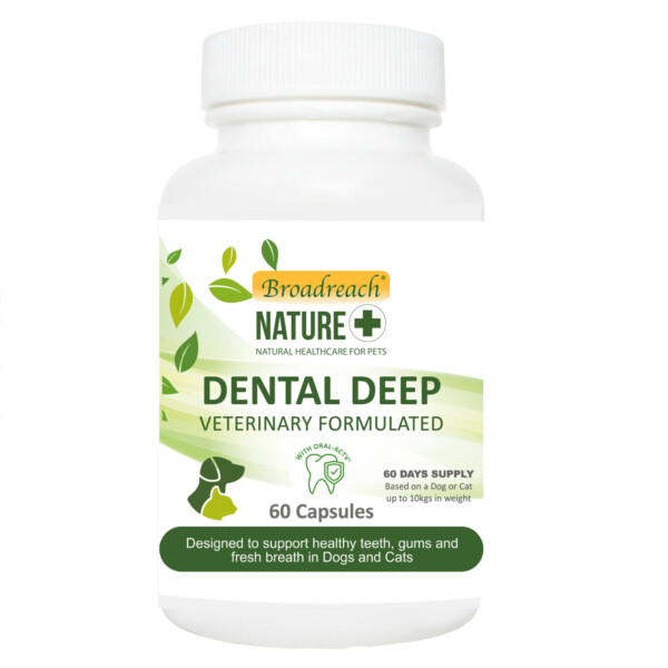 Broadreach Nature Dental Deep