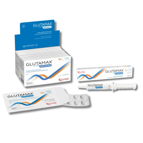 Glutamax® Advanced Paste/Tablets