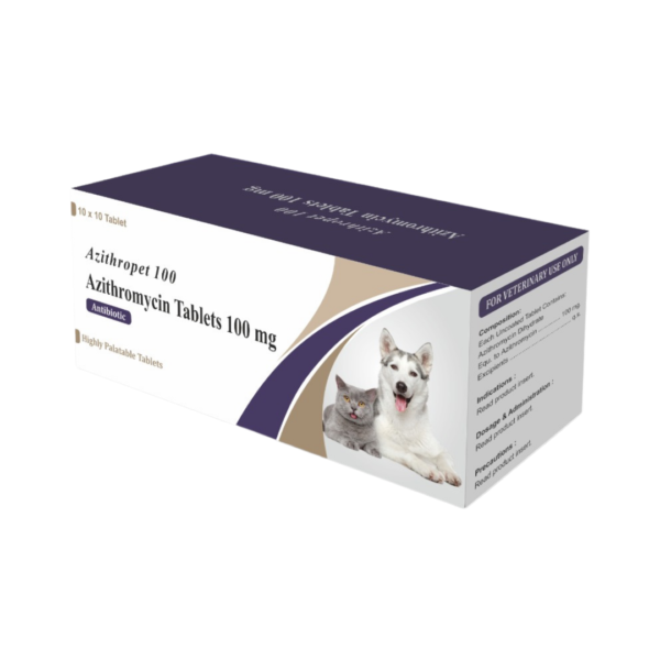 Azithropet 100 Azithromycin 100mg 10x10 tabs