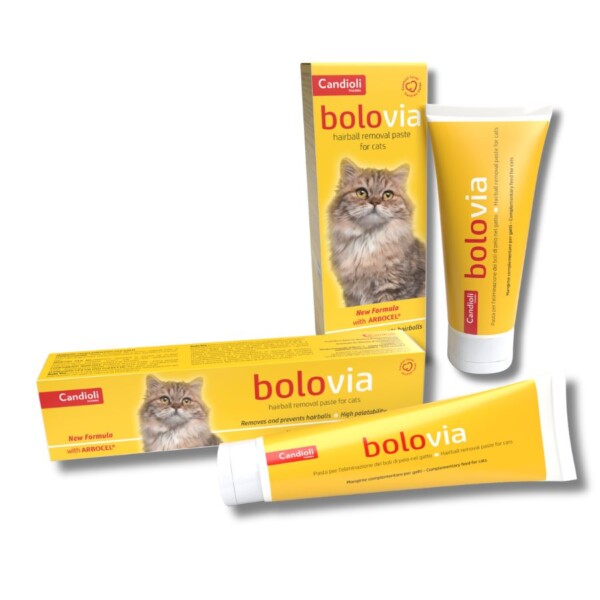 Bolo Via Paste 50g