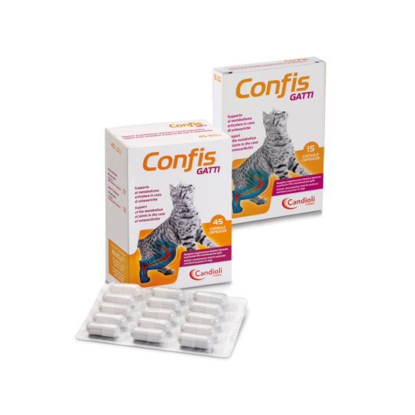 Confis Gatti For Cats 15 Capsules