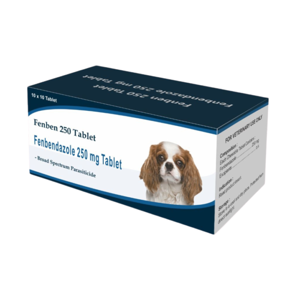 Fenben Fenbendazole 250 mg 10 x 10 tabs