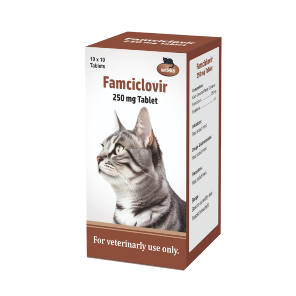 Famciclovir 250mg 10 x 10 tablets