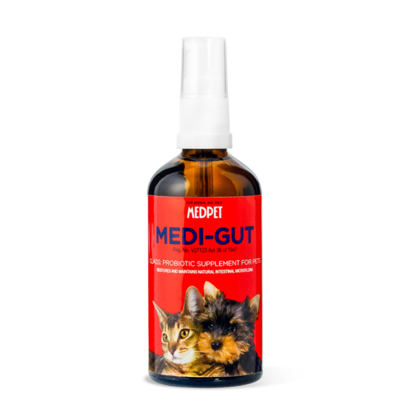 Medi-Gut 100ml