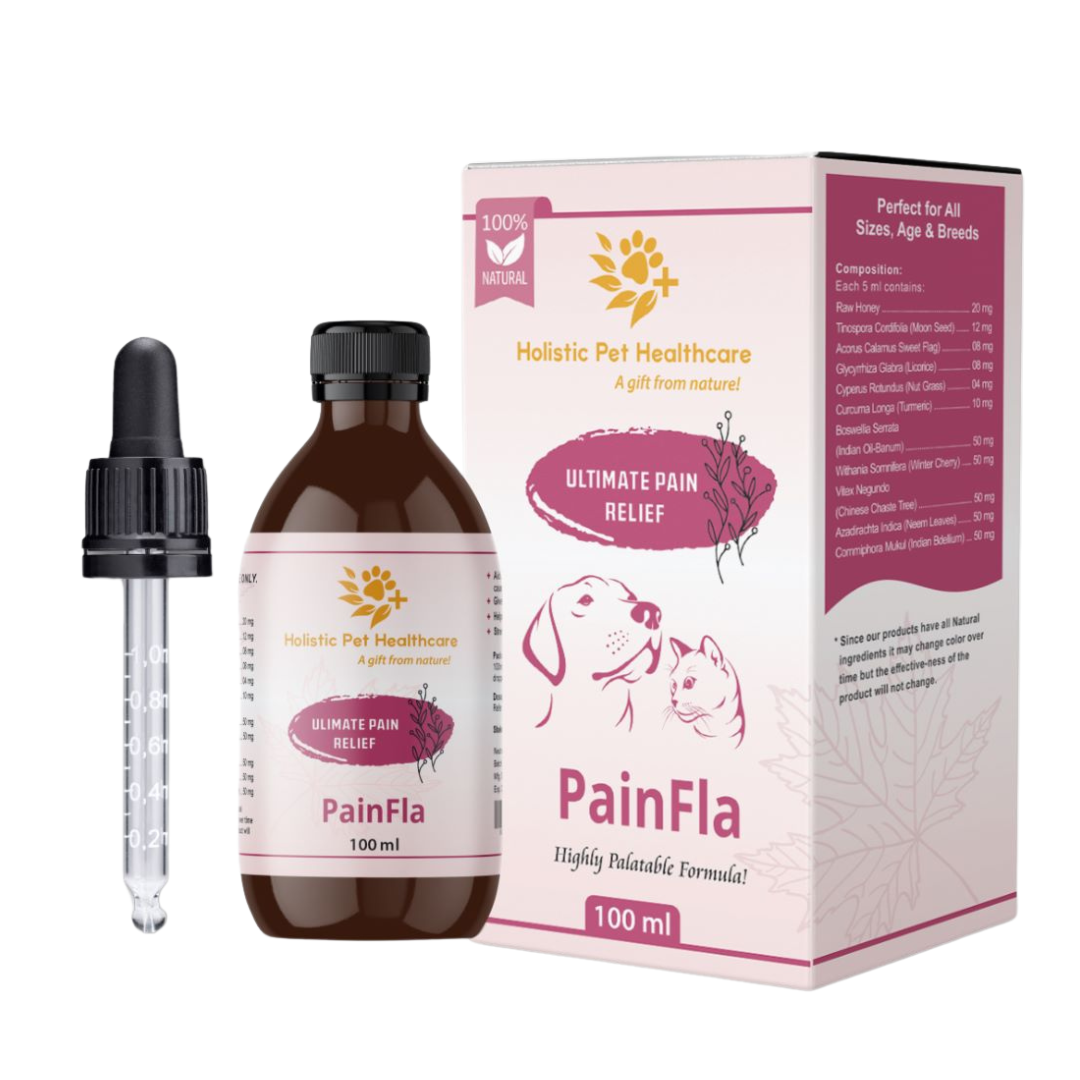 PainFla Syrup 100ml VEDMED AGRI PTE LTD PainFla Syrup 100ml VEDMED AGRI PTE LTD