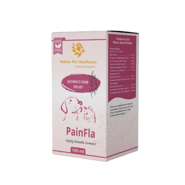PainFla Syrup 100ml