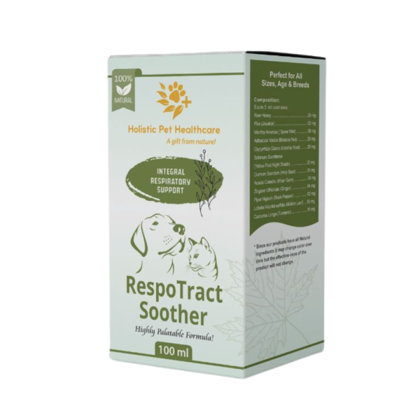 RespoTract Soother Syrup 100ml