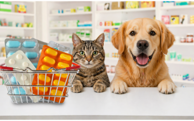 The Complete Guide to Veterinary Products for Vet Clinics in Singapore and Southeast Asia