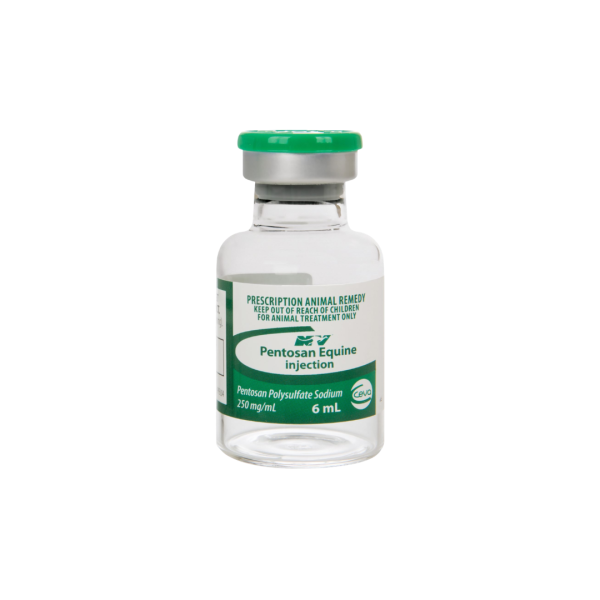 Pentosan Equine Injection Pentosan Polysulfate Sodium 250mg/ml 6ml