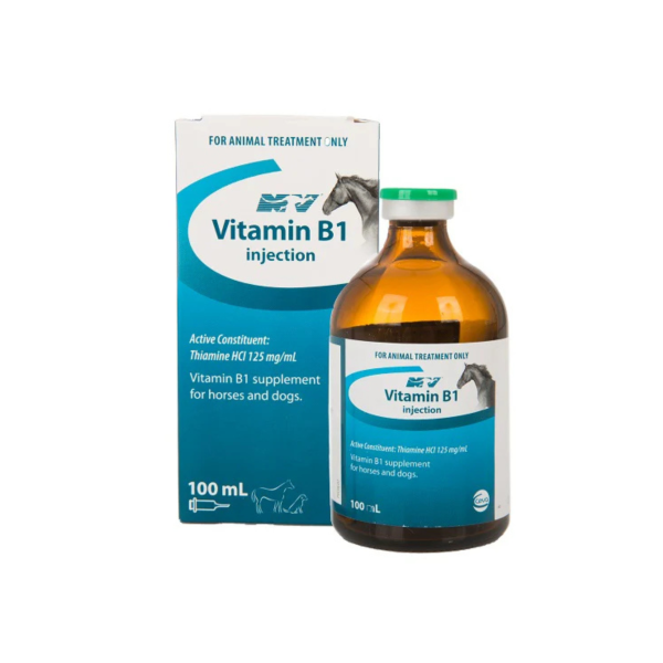 Vitamin B1 injection 125mg/ml 100ml for dogs and horses