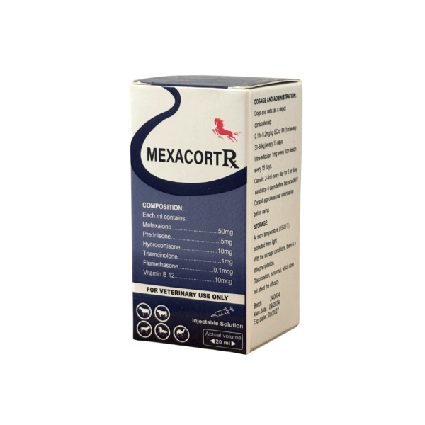 Mexacorte Injectable Solution 20ml