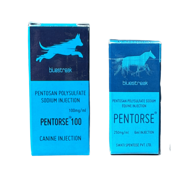 Pentorse™ Injection For Dogs and Horses